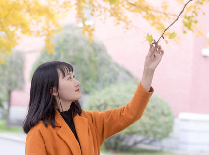 办理菲律宾旅游签要什么手续(办理旅游签最新手续说明)